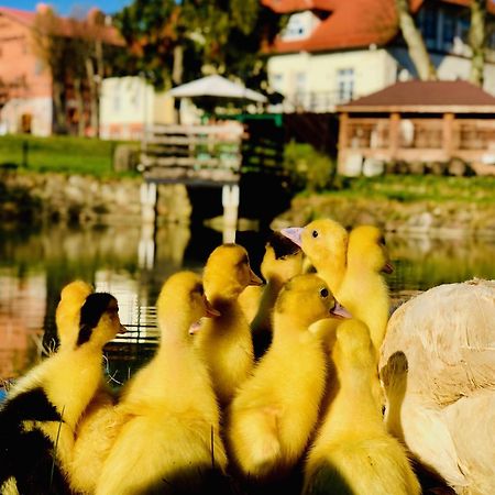 Palac Spichrz Borcz Buitenkant foto