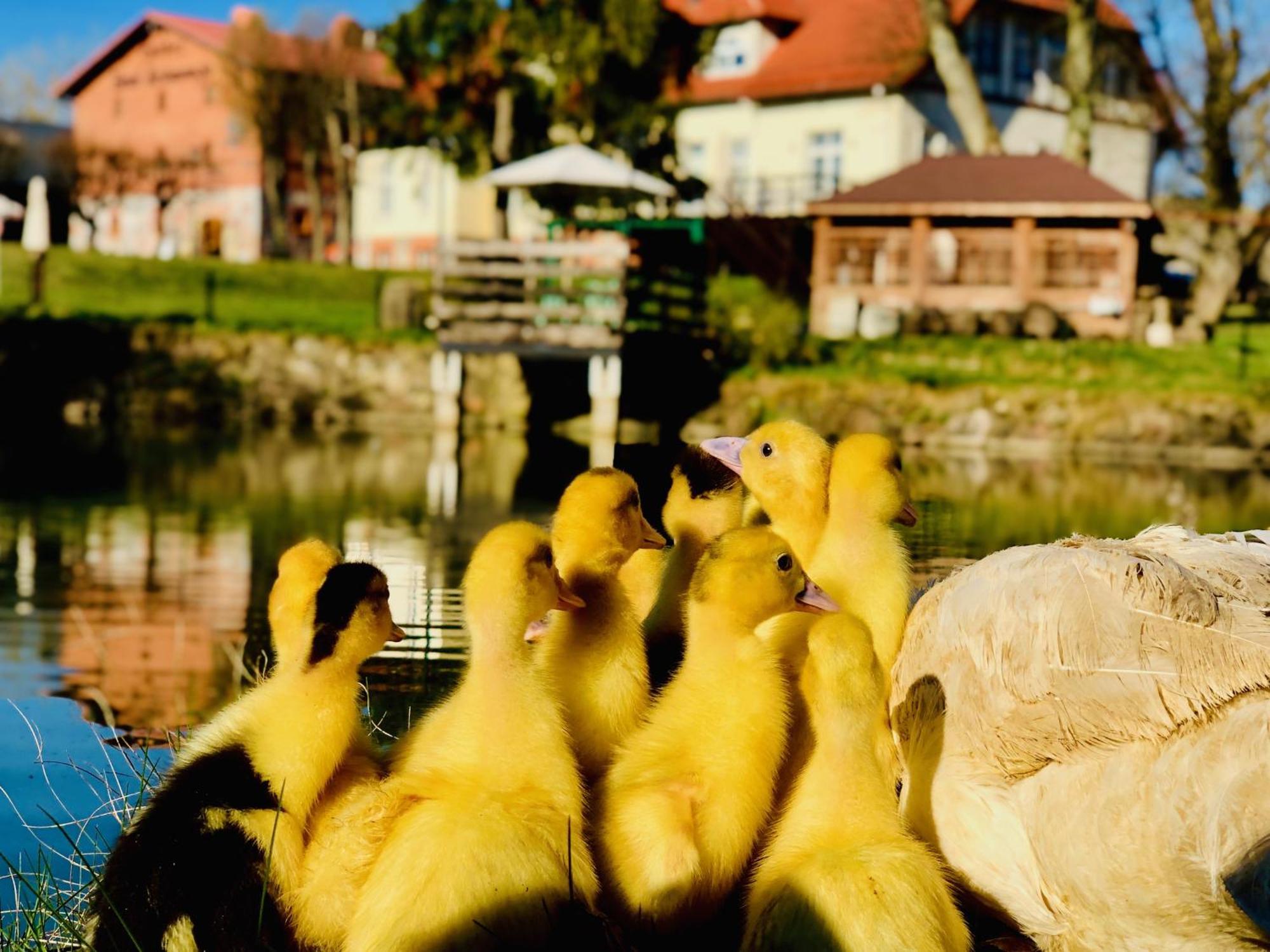 Palac Spichrz Borcz Buitenkant foto